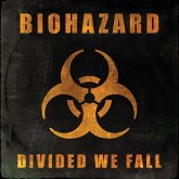 Divided We Fall Divided We Fall