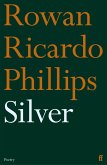 Silver (eBook, ePUB)