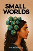Small Worlds (eBook, ePUB)
