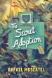 The Secret Adoption - Bild 1