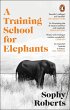 A Training School for Elephants - Bild 1
