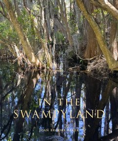 Cover In the Swampyland