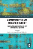 Mozambique's Cabo Delgado Conflict