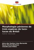 Morphologie pénienne de trois espèces de tuco-tucos du Brésil