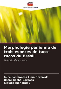 Cover Morphologie pénienne de trois espèces de tuco-tucos du Brésil