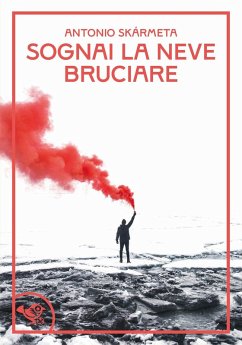 Cover Sognai la neve bruciare