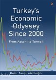 Turkeys Economic Odyssey Since 2000