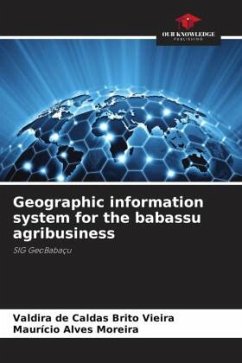 Cover Geographic information system for the babassu agribusiness