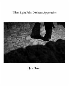 Cover When Light Falls