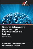 Sistema informativo geografico per l'agrobusiness del babaçu Sistema informativo geografico per l'agrobusiness del babaçu