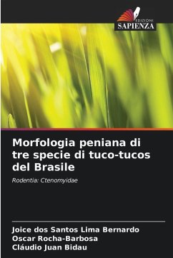 Morfologia peniana di tre specie di tuco-tucos del Brasile Cover Morfologia peniana di tre specie di tuco-tucos del Brasile