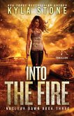 Into the Fire Into the Fire
