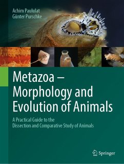 Cover Metazoa - Morphology and Evolution of Animals (eBook, PDF)