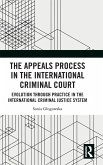 The Appeals Process in the International Criminal Court