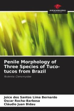 Cover Penile Morphology of Three Species of Tuco-tucos from Brazil