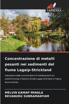Concentrazione di metalli pesanti nei sedimenti del fiume Lagaip-Strickland Cover Concentrazione di metalli pesanti nei sedimenti del fiume Lagaip-Strickland