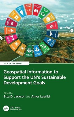 Cover Geospatial Information to Support the UN's Sustainable Development Goals