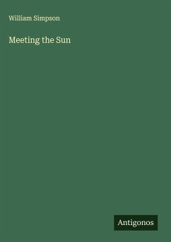 Cover Meeting the Sun