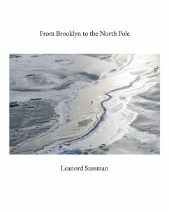 Cover From Brooklyn to the North Pole