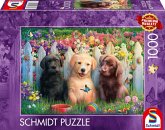 Schmidt 58883 - Süße Welpenszene, Hunde, Puzzle, 1000 Teile