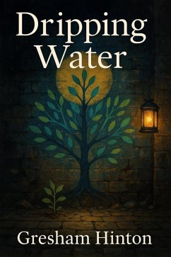 Cover Dripping Water (eBook, ePUB)