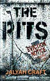 The Pitts (eBook, ePUB)