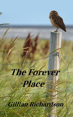 Cover The Forever Place (eBook, ePUB)