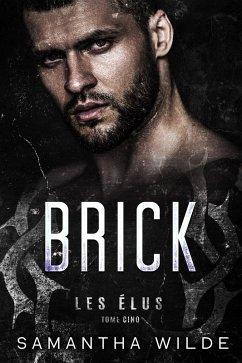 Cover Brick (French Edition) (eBook, ePUB)