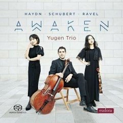 Cover Awaken - Piano Trios
