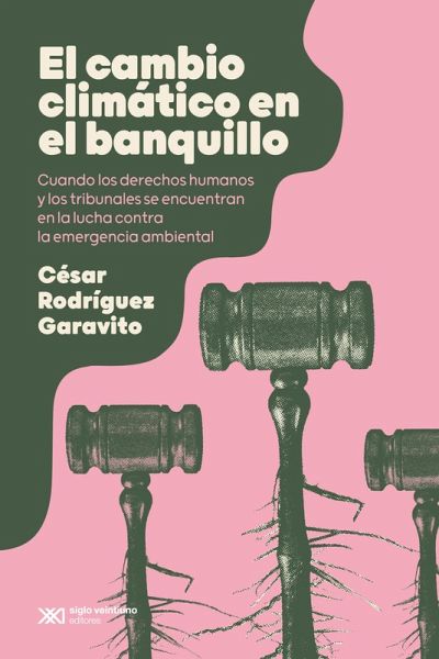 El cambio climático en el banquillo (eBook, ePUB)