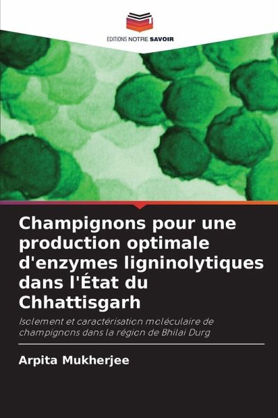 Champignons pour une production optimale d'enzymes ligninolytiques dans l'État du Chhattisgarh