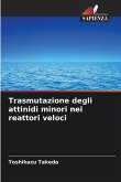 Trasmutazione degli attinidi minori nei reattori veloci