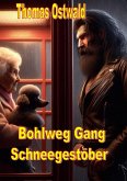 Bohlweg Gang - Schneegestöber (eBook, ePUB)