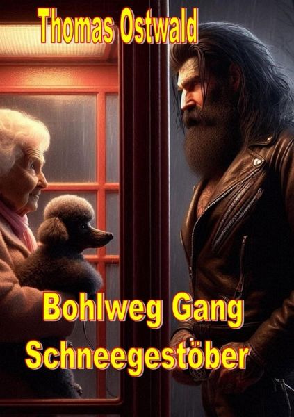 Bohlweg Gang - Schneegestöber (eBook, ePUB)
