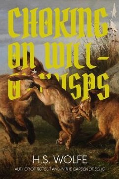 Choking on Will-O'-Wisps (eBook, ePUB) - Wolfe, H. S.