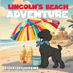 Cover Lincoln's Beach Adventure