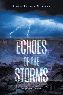 Cover Echoes of The Storms