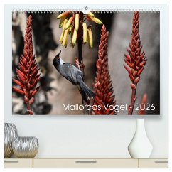 Cover Mallorcas Vögel (hochwertiger Premium Wandkalender 2026 DIN A2 quer), Kunstdruck in Hochglanz