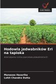 Hodowla jedwabników Eri na tapioka