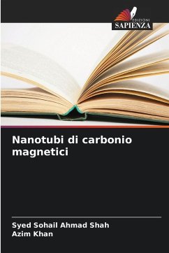 Cover Nanotubi di carbonio magnetici