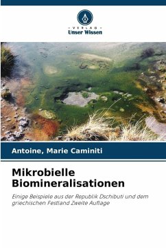 Cover Mikrobielle Biomineralisationen