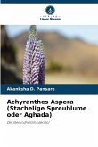 Achyranthes Aspera (Stachelige Spreublume oder Aghada) Achyranthes Aspera (Stachelige Spreublume oder Aghada)