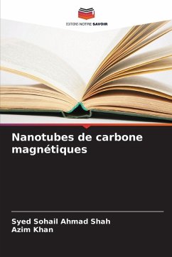 Cover Nanotubes de carbone magnétiques