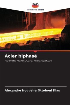 Cover Acier biphasé