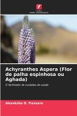 Achyranthes Aspera (Flor de palha espinhosa ou Aghada)