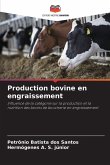Production bovine en engraissement