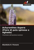 Achyranthes Aspera (Fiore di pula spinosa o Aghada)