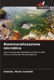 Biomineralizzazione microbica