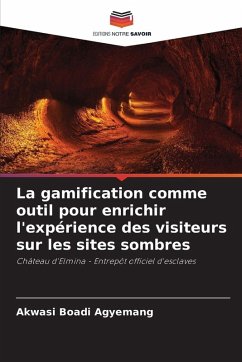 Cover La gamification comme outil pour enrichir l'expérience des visiteurs sur les sites sombres