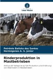 Rinderproduktion in Mastbetrieben Rinderproduktion in Mastbetrieben